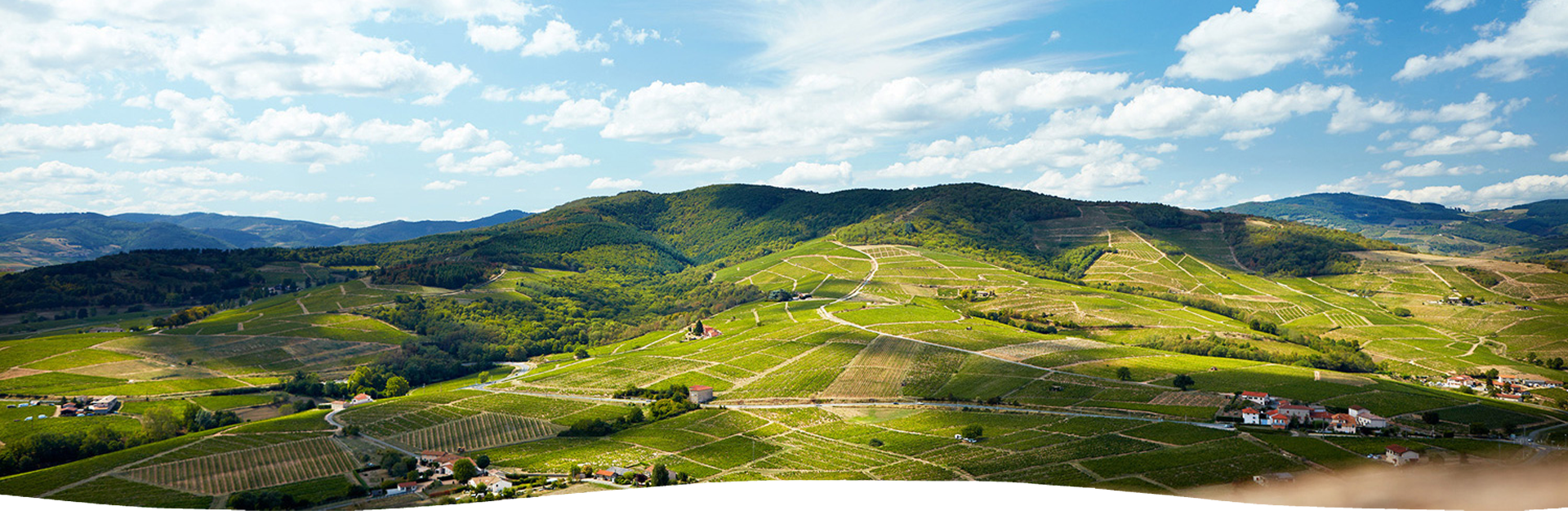 Paysage Beaujolais